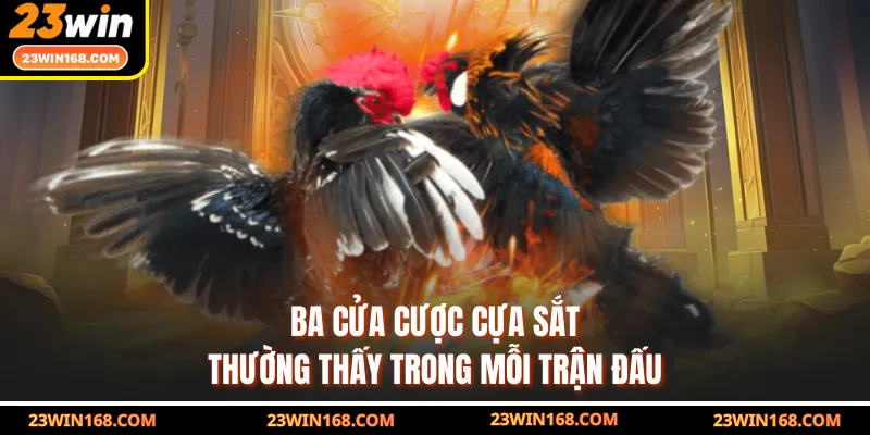 Ba cửa cược cựa sắt thường thấy trong mỗi trận đấu